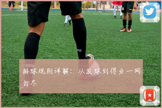 排球规则详解：从发球到得分一网打尽