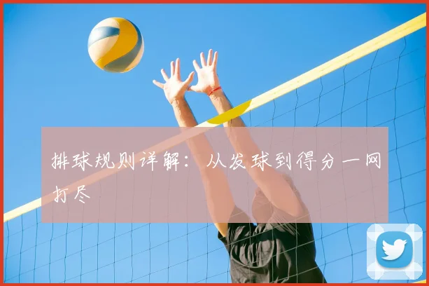 排球规则详解：从发球到得分一网打尽